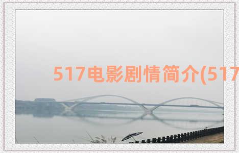 517电影剧情简介(517集)